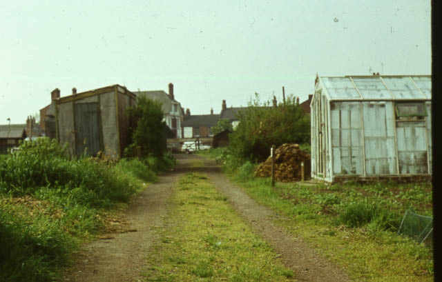 A View of Rob Lane Allotments around 1972, looking towards the gate.  The Pied Bull Hotel can just be seen in the background