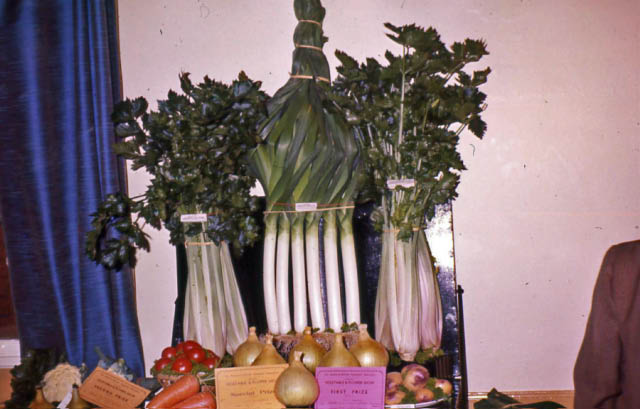 The Flower and Vegetable Show, late 1970's, Old Civic Hall, Newton.