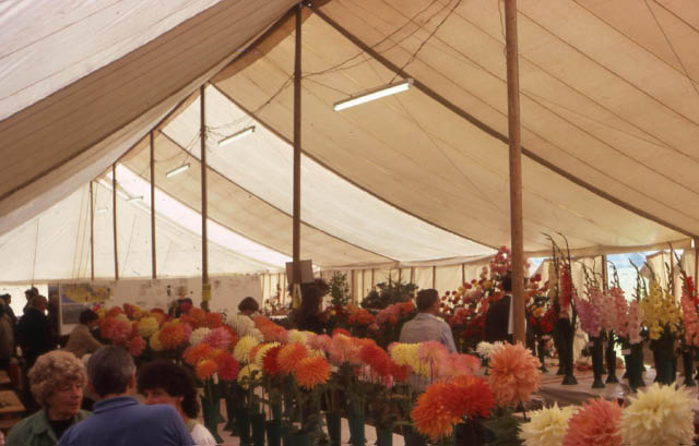 Marquee on the Newton Grammar School Playing Fields