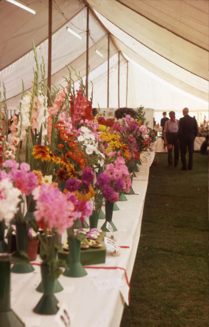 Flowers on display in the marquee 1982.